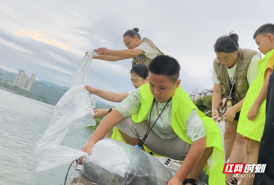 圖片21.png 圖片21.png